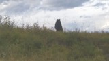 20141007_165825