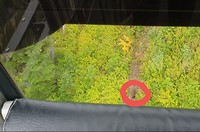 IMG-20190901-WA0004