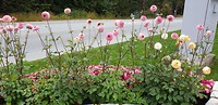 IMG-20190901-WA0024