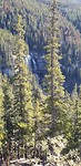 IMG-20190905-WA0278
