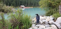 IMG-20190906-WA0094