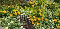 IMG-20190910-WA0018