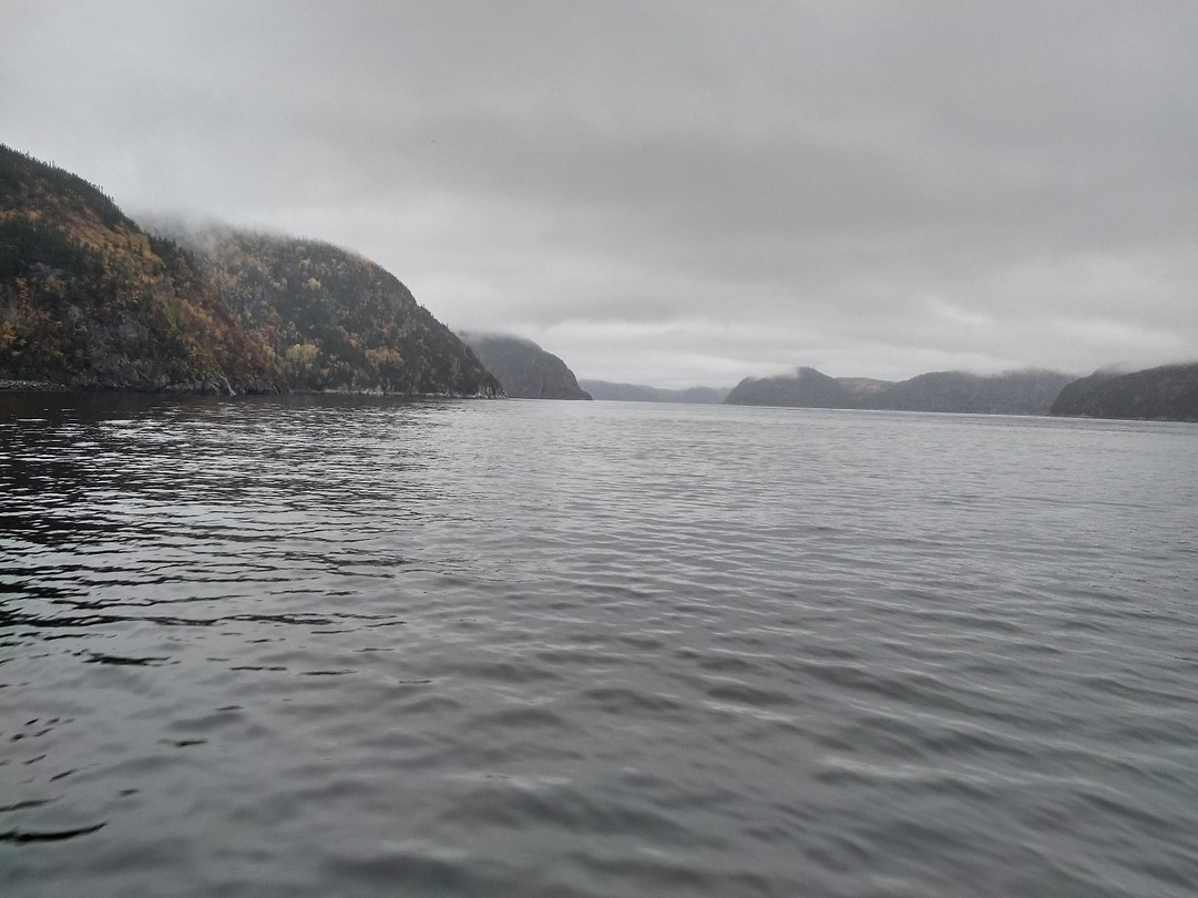 The st. Lawrence rivier