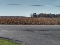 Ontario