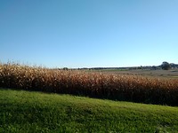 Landschap Ontario
