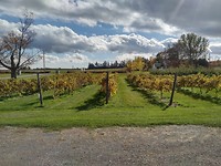 Winery