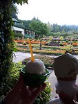 Ice cream with a view