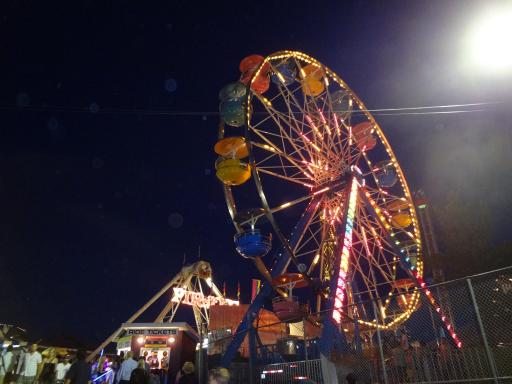 DSC00431
