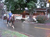 20220430 Paardenparade