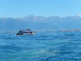 De boot