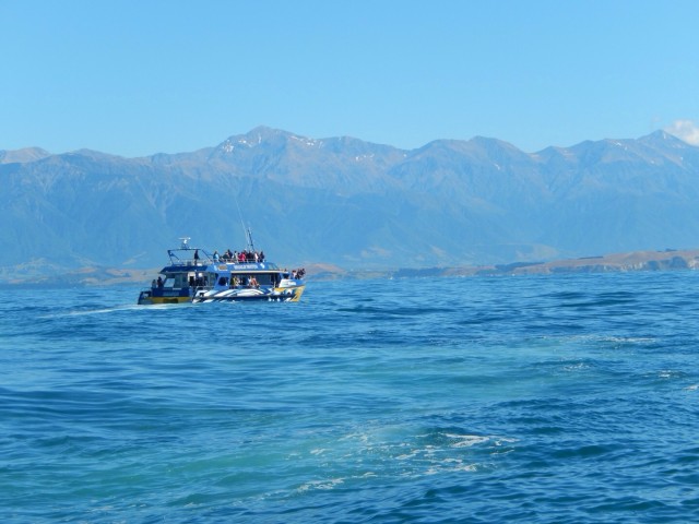 De boot