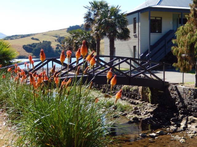 Akaroa
