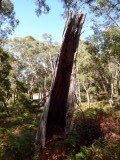 Grampians