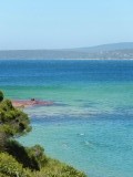 Baai Merimbula