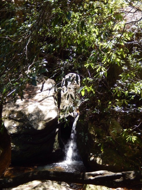 Katoomba Falls