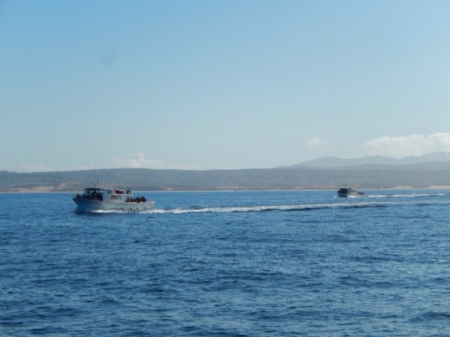Walvis spotten