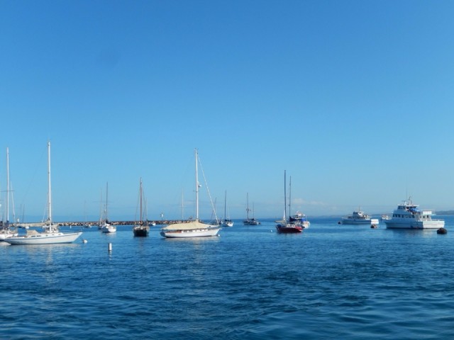 In de haven