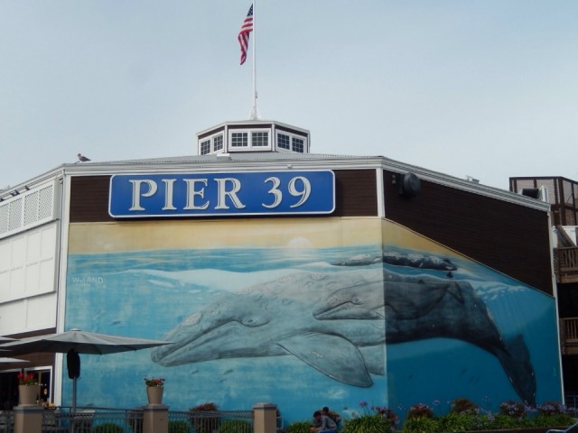 Pier 39