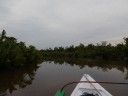 IMGP1426