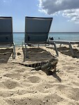 IMG_7261