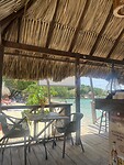 IMG_7419