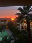 IMG_1256