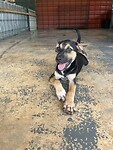 IMG_1551
