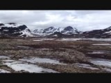 Hoogvlakte 1