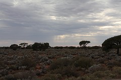 Onderweg naar Port Augusta