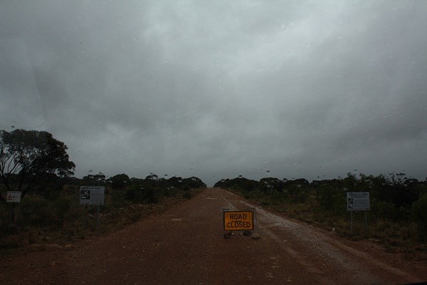 In de regen op de Nullarbor