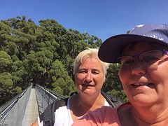 Tree Top Walk bij Valley of th Giants