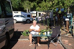 Camping in Margaret River