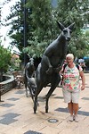 De Bronzen Kangaroo's van Perth