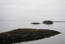 IMG_5922 Resized