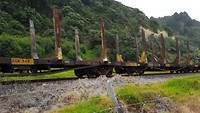 Kiwi rail (een hele lange...)