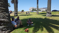 Picknick in Auckland Domain