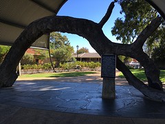 IMG_2504