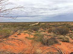 IMG_2831