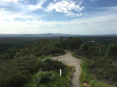 IMG_2049