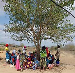 Outreach onder de boom