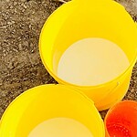 Melk opbrengst