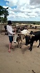 VID-20220411-WA0011