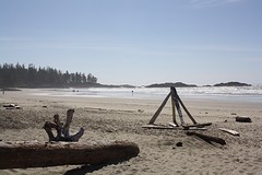 Tofino
