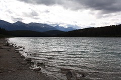 Patricia Lake
