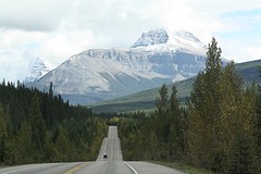 Icefield parkway