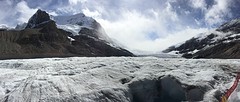 Icefield