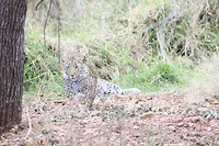 IMG_0895