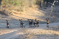 IMG_0832
