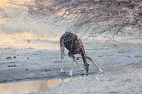 IMG_0839