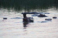 IMG_0984